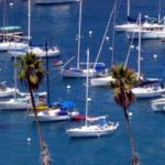 peninsula yacht club membership cost per month
